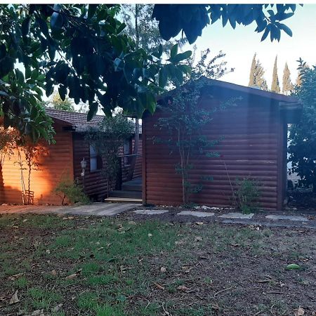 A Fun Holiday In The Galilee Sede Eli'ezer Bagian luar foto