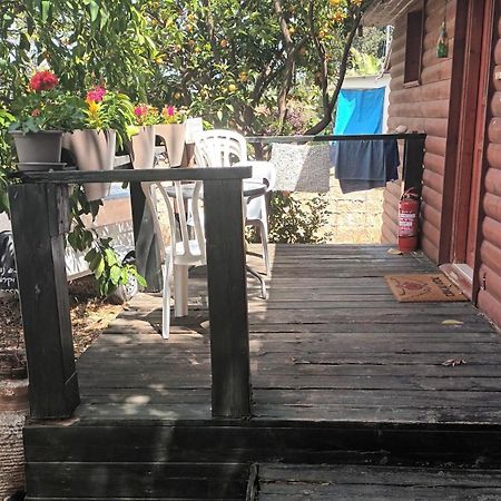A Fun Holiday In The Galilee Sede Eli'ezer Bagian luar foto