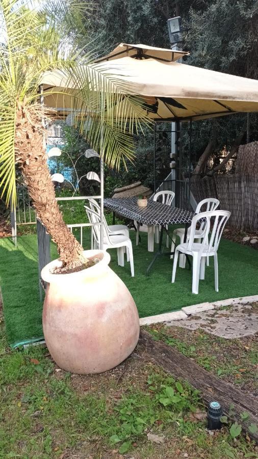A Fun Holiday In The Galilee Sede Eli'ezer Bagian luar foto
