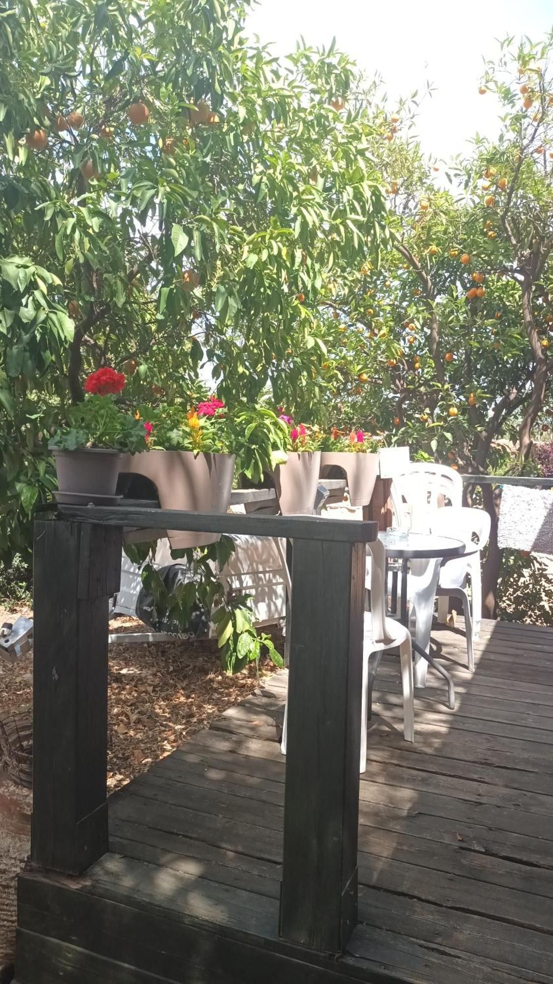 A Fun Holiday In The Galilee Sede Eli'ezer Bagian luar foto